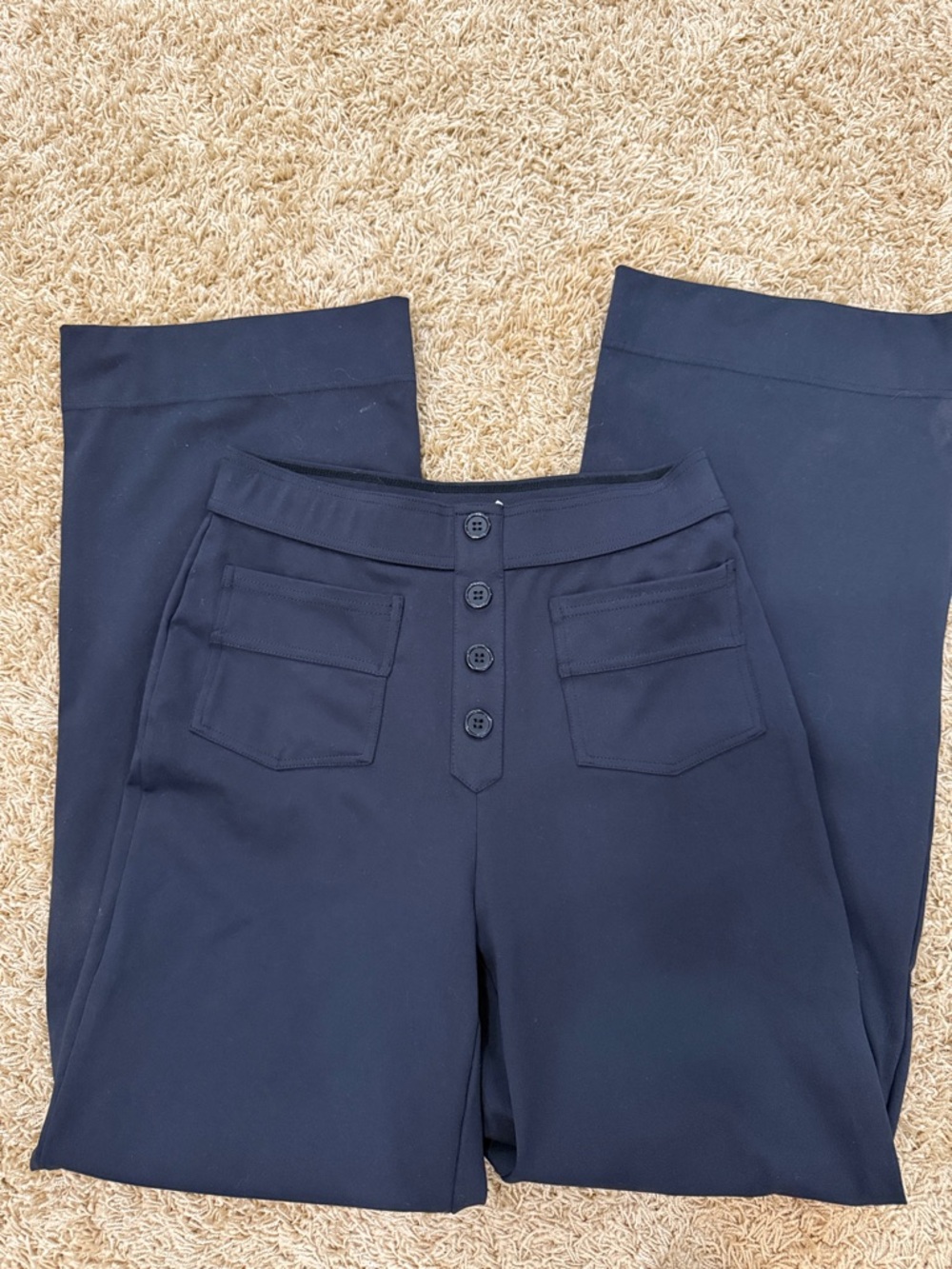 HALARA Navy High-Waist Wide-Leg Pants with Front Button Placket
